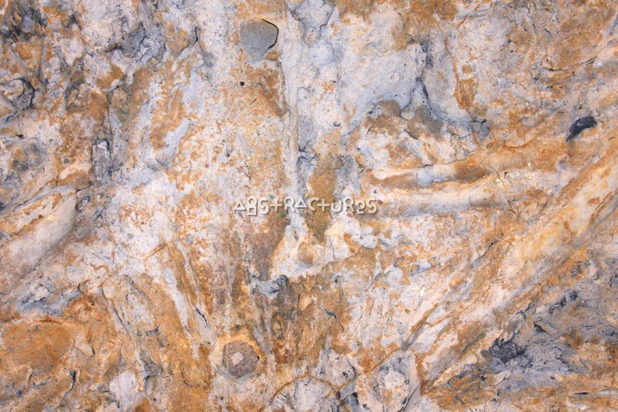 Cream Tan Abstract Stone Texture — photographic texture 34 — 25