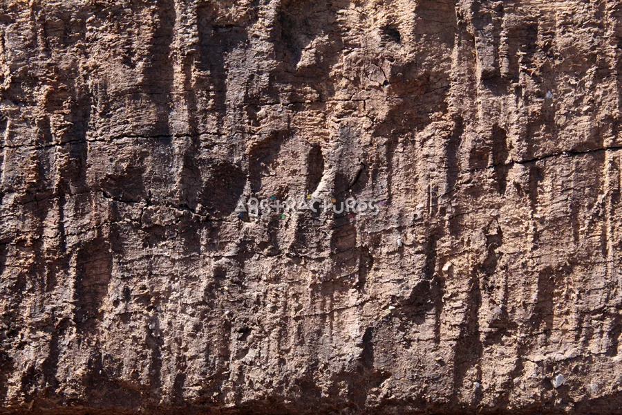 Wood Abstract Texture Background Image — photographic texture 42 — 23