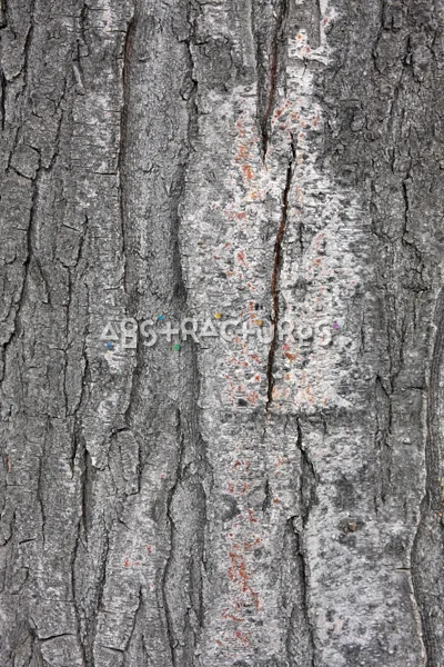 Wood Bark Abstract Texture Background — photographic texture 44 — 03