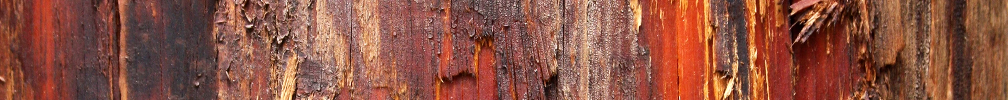 Color bar of the Texture Collection 40 texture palette