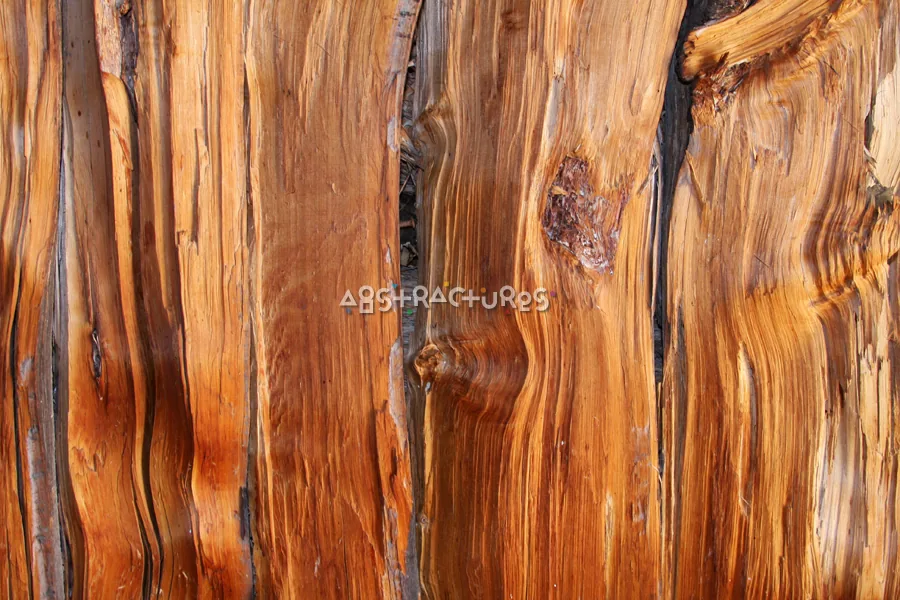Wood Abstract Texture Background Image — photographic texture 40 — 16