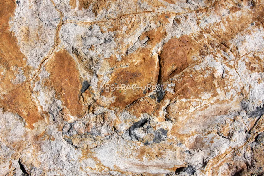 White Tan Cracked Stone Texture — photographic texture 34 — 26