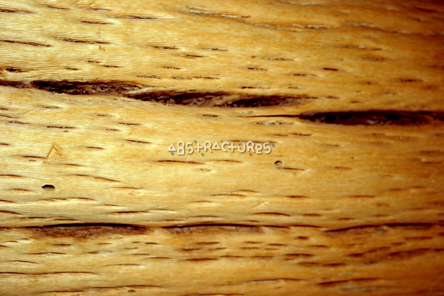 Golden Wood Abstract Texture Background — photographic texture 16 — 05