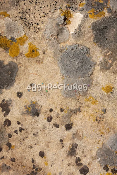 Cream Spotted Abstract Stone Texture — photographic texture 35 — 35