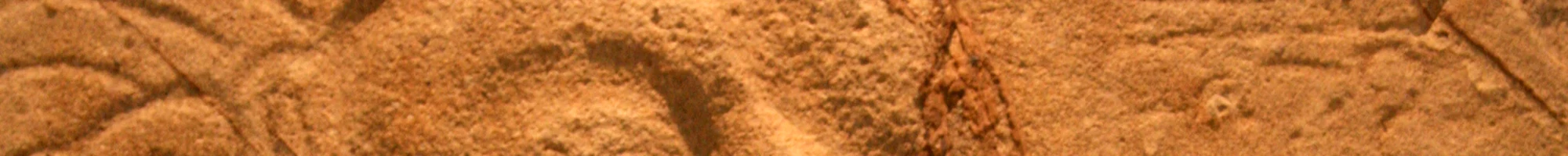 Color bar of the Texture Collection 45 texture palette
