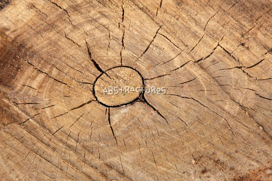 Wood Abstract Texture Background Image — photographic texture 41 — 38