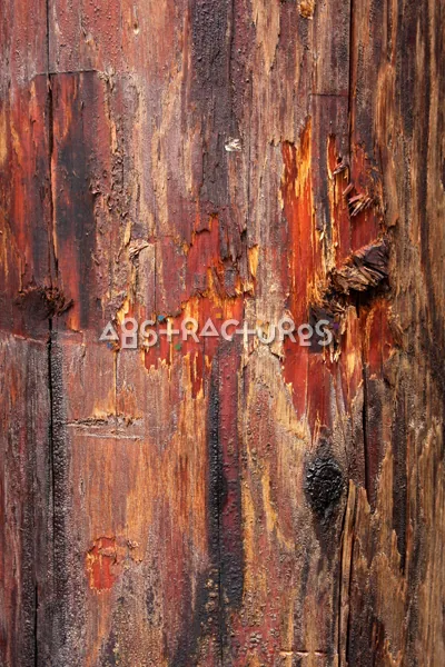 Wood Abstract Texture Background Image — photographic texture 40 — 05