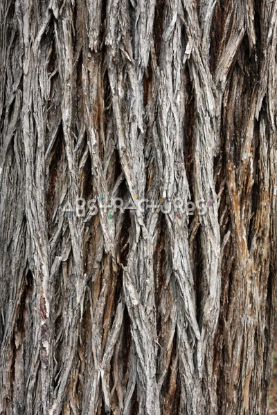 Wood Bark Abstract Texture Background — photographic texture 43 — 05