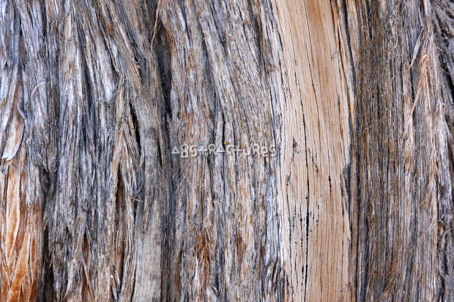 Wood Abstract Texture Background Image — photographic texture 42 — 37