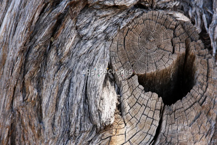 Wood Abstract Texture Background Image — photographic texture 42 — 29