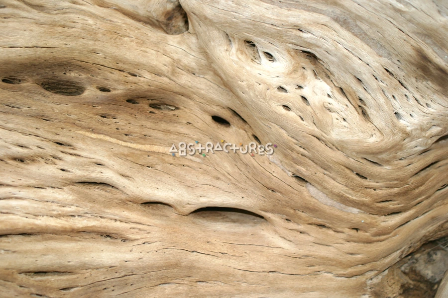 Golden Woodgrain Abstract Texture Background — photographic texture 16 — 09