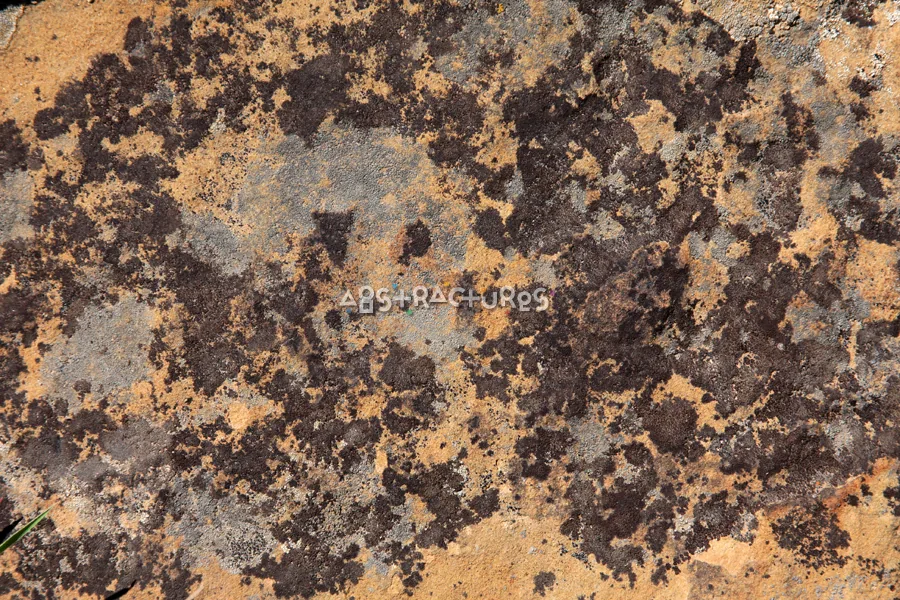 Spotted Stone Abstract Texture Background — photographic texture 35 — 13