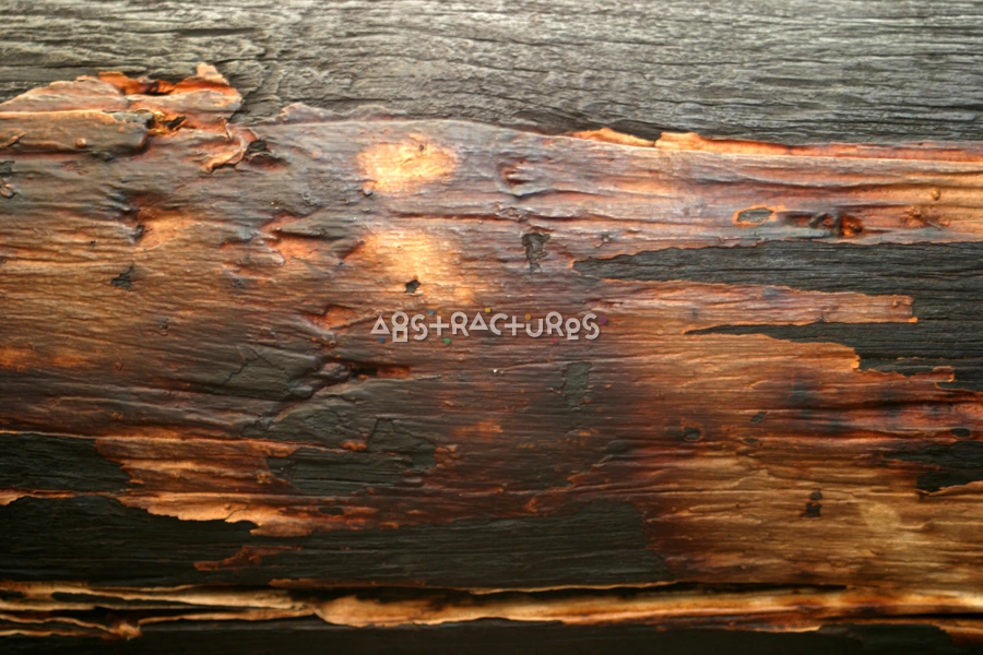 Burnt Wood Abstract Texture Background — photographic texture 16 — 29