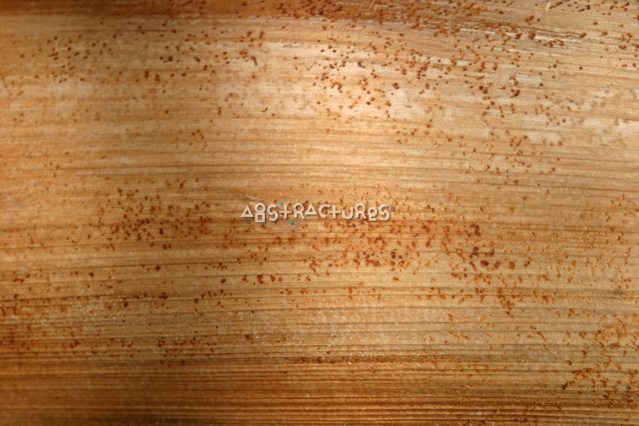 Wood Abstract Texture Background Image — photographic texture 16 — 10