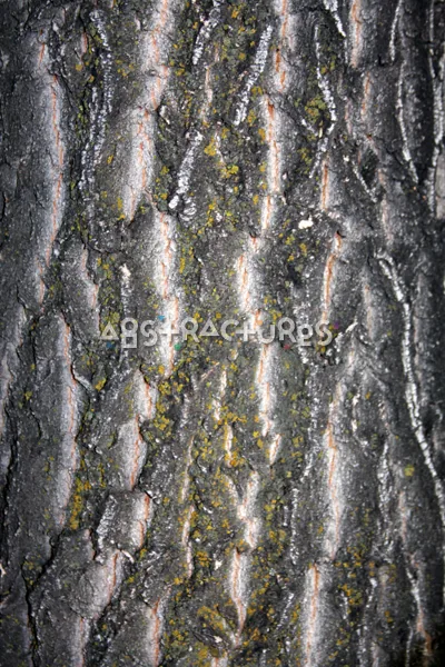 Wood Bark Abstract Texture Background — photographic texture 43 — 27
