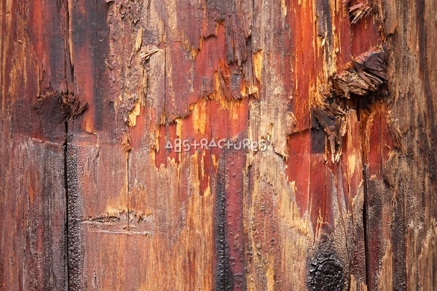 Wood Abstract Texture Background Image — photographic texture 40 — 09
