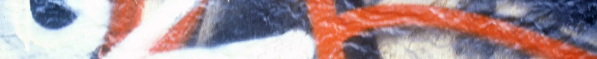 Color bar of the Texture Collection 7 texture palette