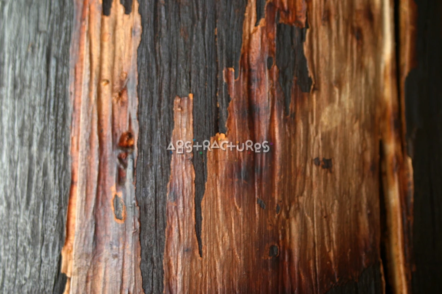 Burnt Wood Abstract Texture Background — photographic texture 16 — 08
