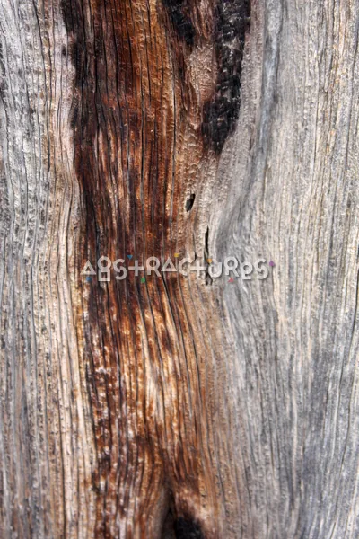 Wood Abstract Texture Background Image — photographic texture 41 — 14