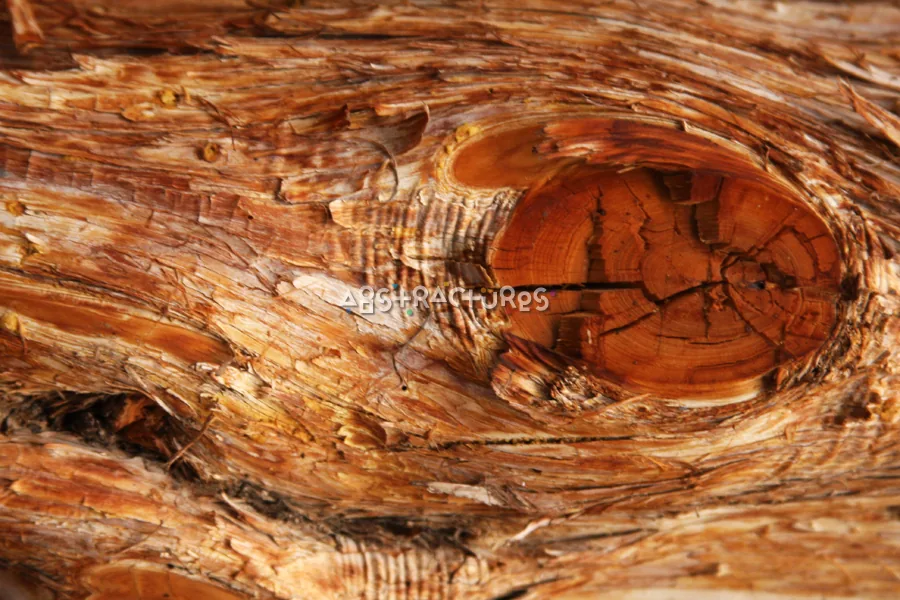 Wood Abstract Texture Background Image — photographic texture 40 — 39