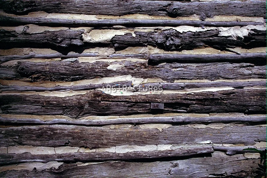 Texas Log Cabin Wood Texture — photographic texture 15 — 16