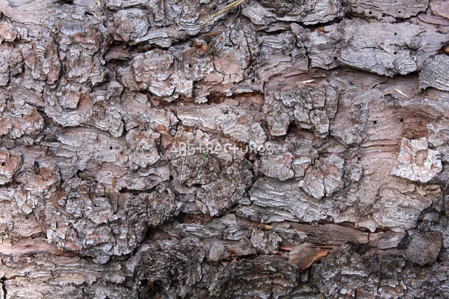 Wood Bark Abstract Texture Background — photographic texture 43 — 22