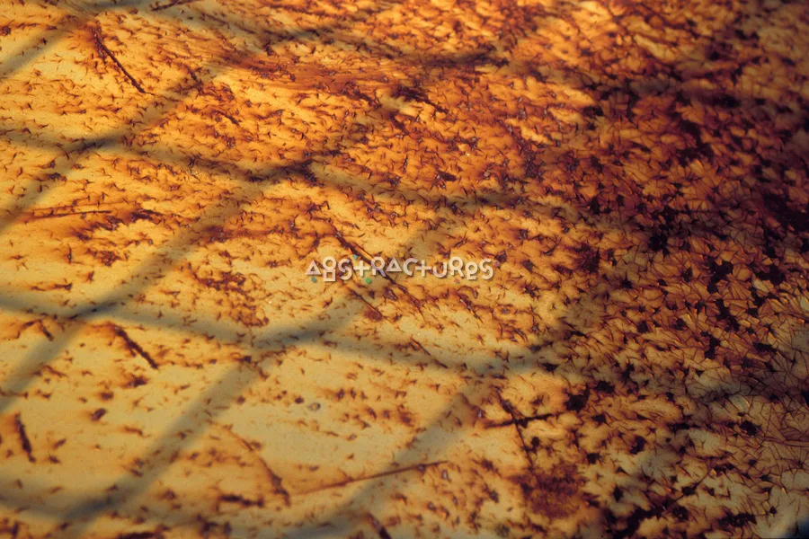 Rusty Metal Abstract Texture Background — photographic texture 07 — 34