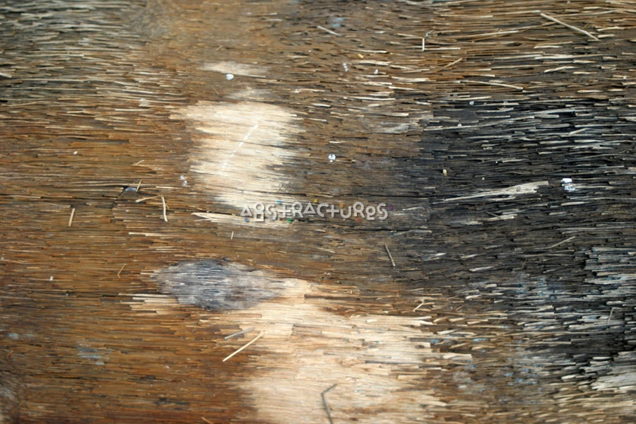 Palm Tree Wood Grain Texture — photographic texture 17 — 33