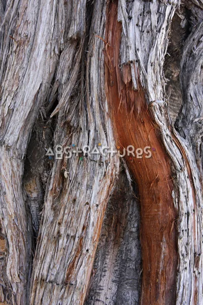 Wood Abstract Texture Background Image — photographic texture 41 — 39