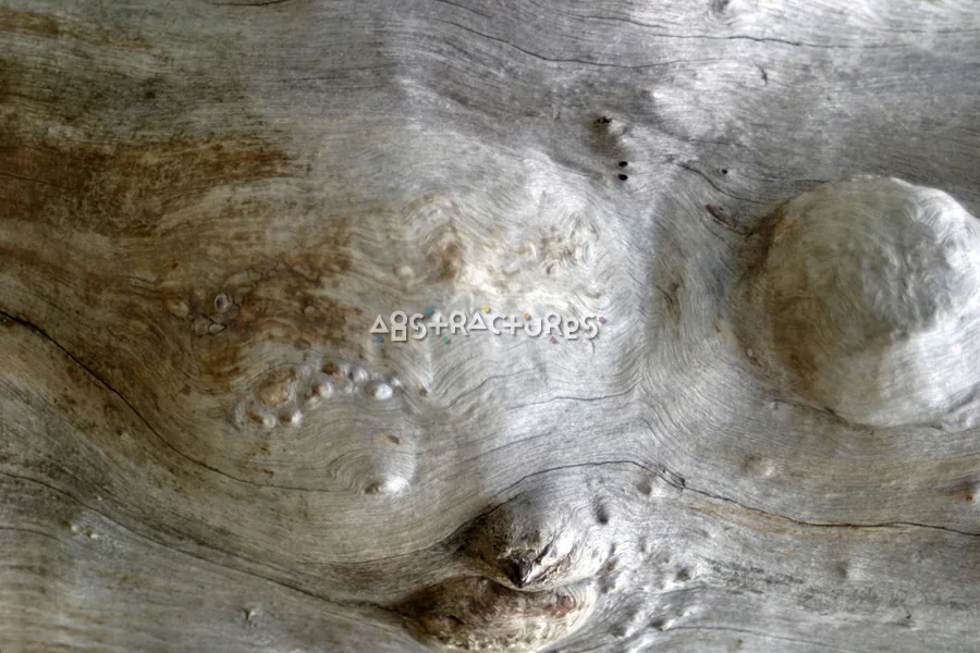 Unique Wood Grain Abstract Texture — photographic texture 15 — 28