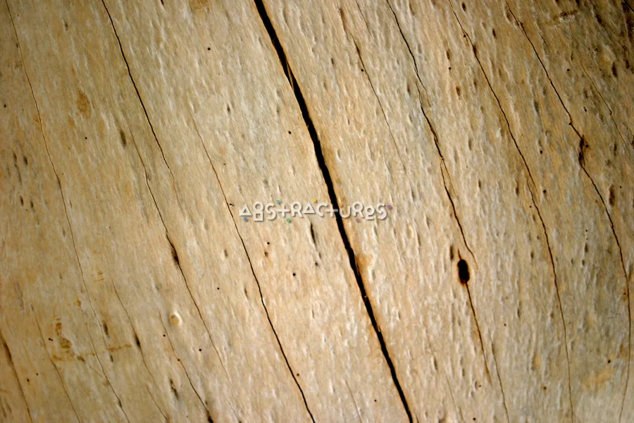Wood Grain 06 — photographic texture 15 — 06
