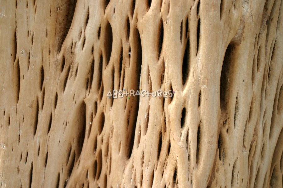 Unique Wood Grain Abstract Texture — photographic texture 16 — 12