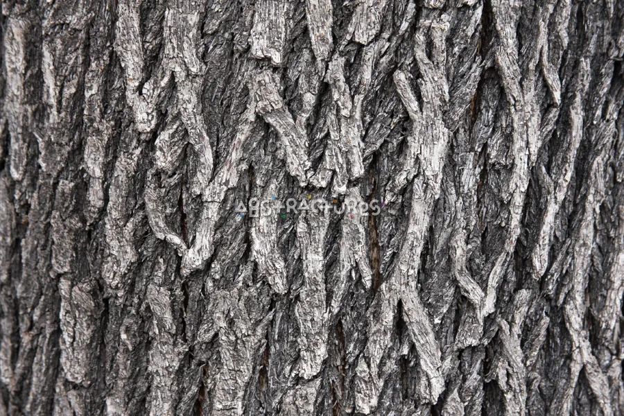 Wood Bark Abstract Texture Background — photographic texture 43 — 14