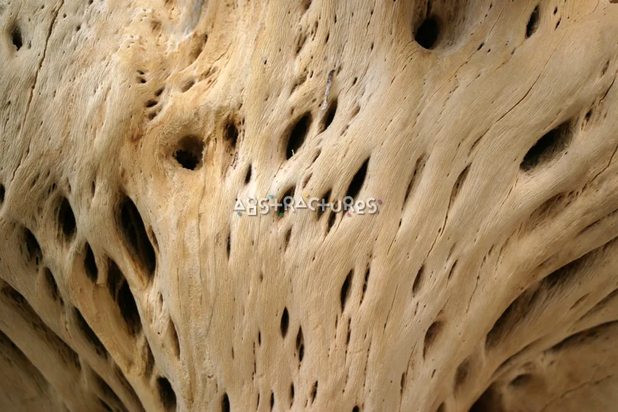 Wood Grain Abstract Texture Background — photographic texture 15 — 23