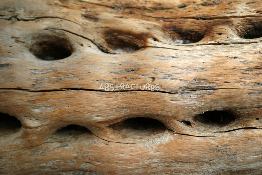 Unique Wood Abstract Texture Image — photographic texture 16 — 32