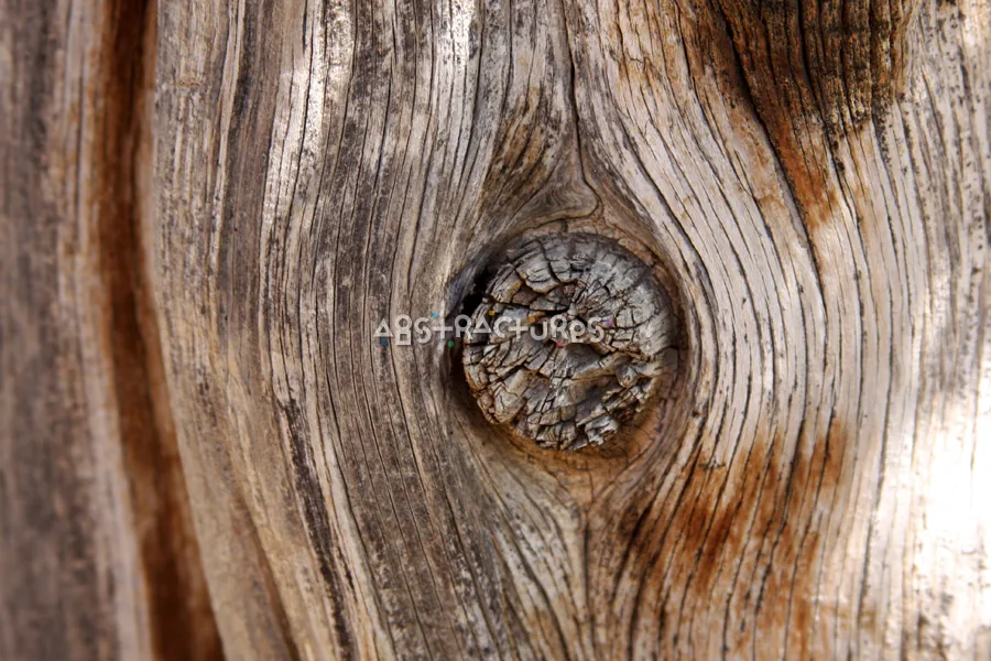 Wood Abstract Texture Background Image — photographic texture 42 — 13