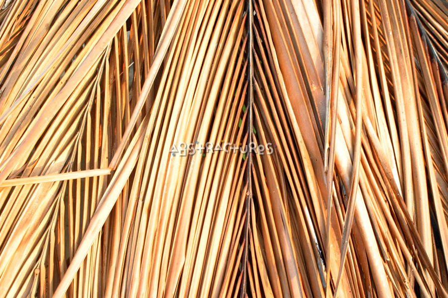 Dried Palms Abstract Texture Background — photographic texture 16 — 30