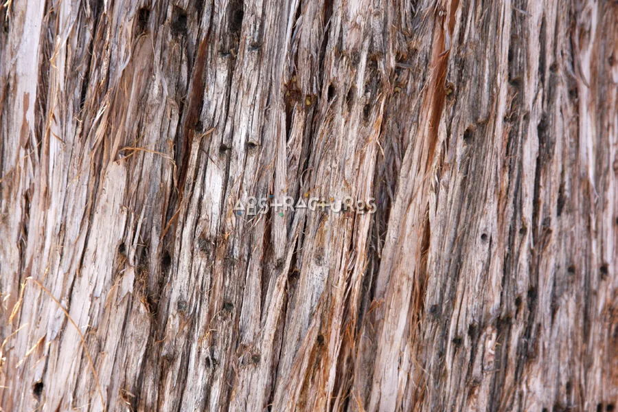 Wood Abstract Texture Background Image — photographic texture 42 — 17