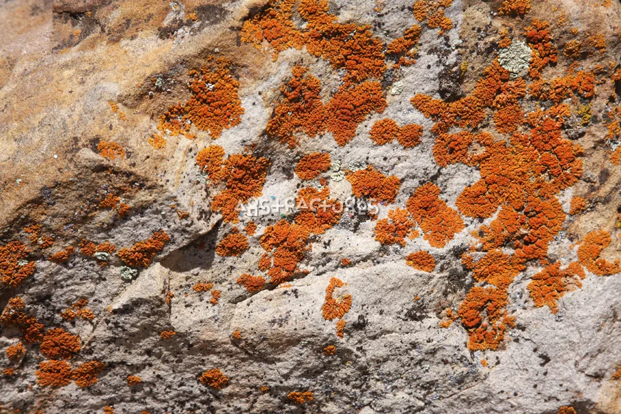 Golden Stone texture 08 from Volume 34