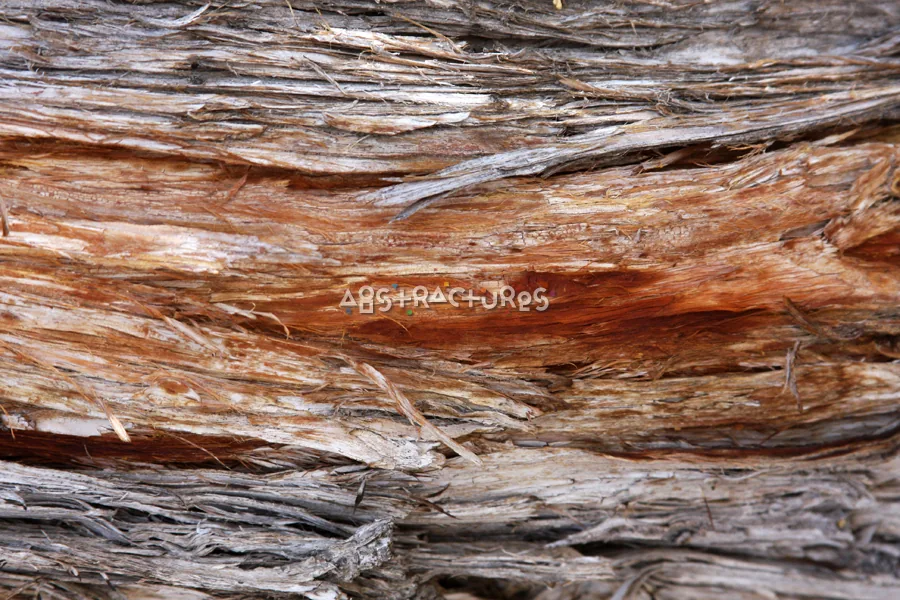 Wood Abstract Texture Background Image — photographic texture 41 — 30