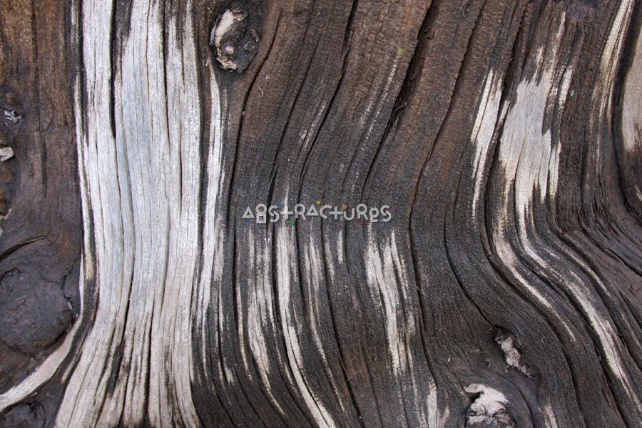 Wood Abstract Texture Background Image — photographic texture 41 — 26