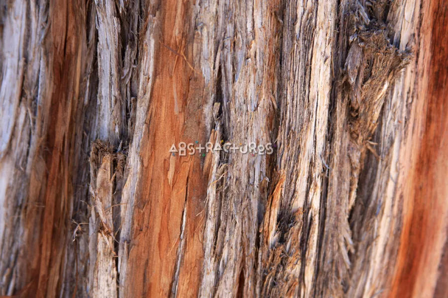 Wood Abstract Texture Background Image — photographic texture 40 — 23