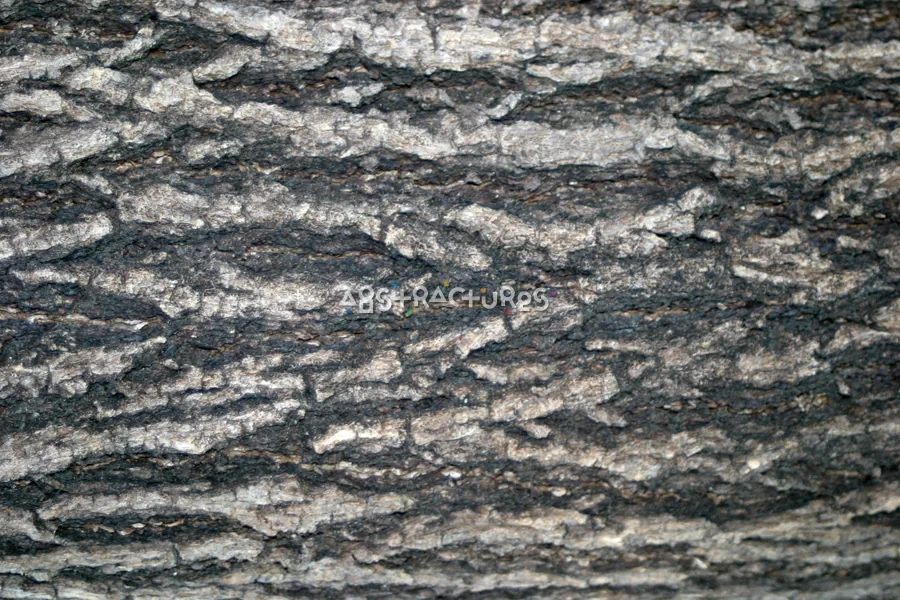 Black Tree Bark Wood Texture — photographic texture 15 — 38