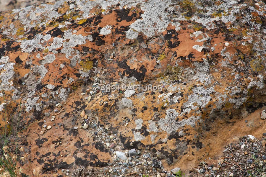 Grey Spotted Abstract Stone Texture — photographic texture 35 — 29