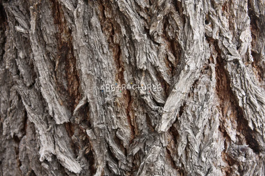 Wood Bark Abstract Texture Background — photographic texture 44 — 21