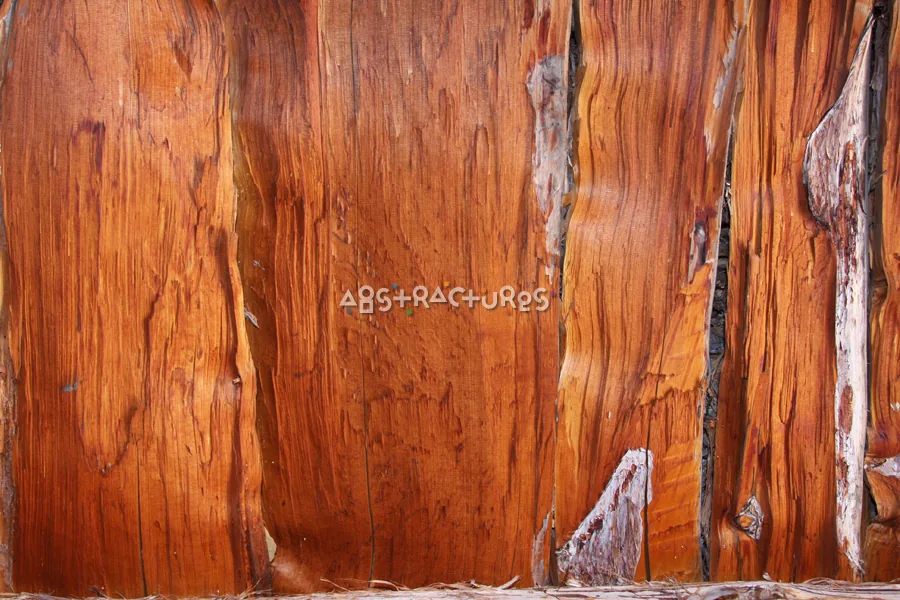 Wood Abstract Texture Background Image — photographic texture 40 — 26
