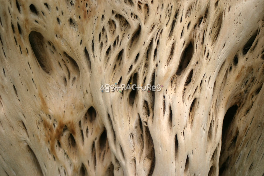 Unique Wood Abstract Texture Image — photographic texture 16 — 36