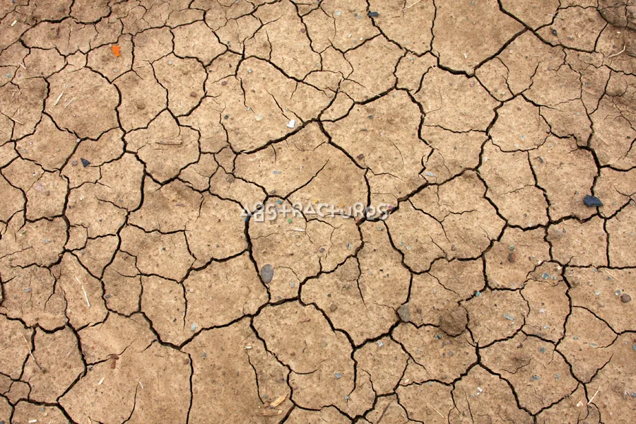 Drought Cracked Mud Abstract Texture — photographic texture 52 — 38
