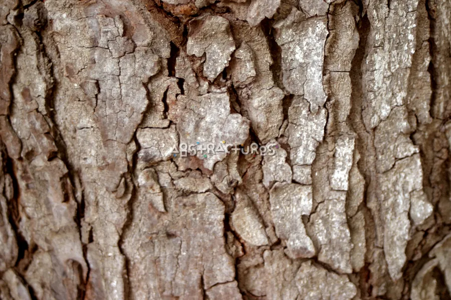 Brown Tree Bark Wood Texture — photographic texture 15 — 29