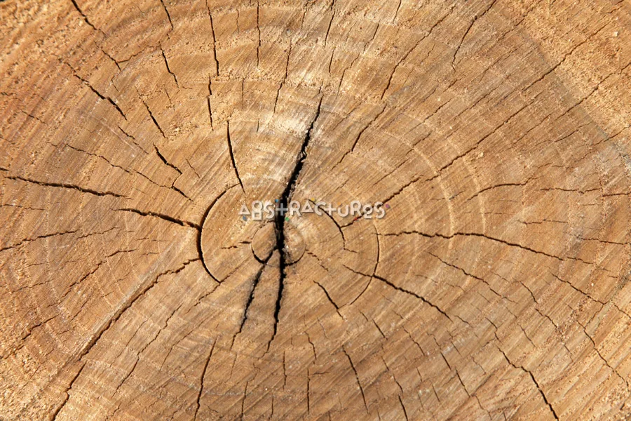 Wood Abstract Texture Background Image — photographic texture 41 — 02